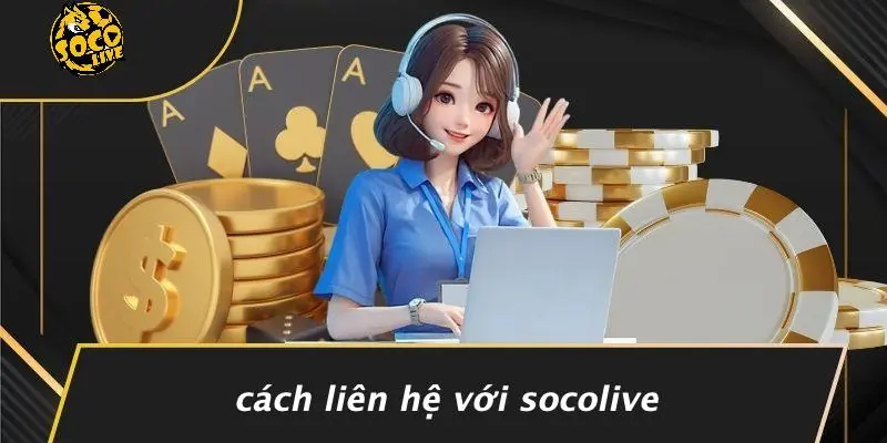 Liên hệ 3 Liên hệ