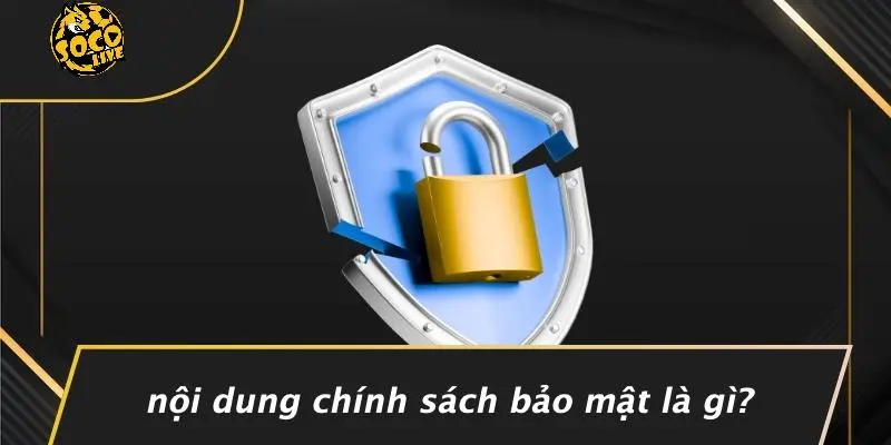 Chính sách bảo mật 2 chính sách bảo mật