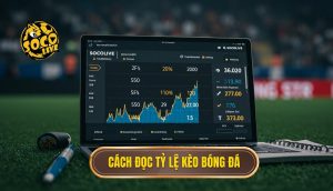 Cách đọc tỷ lệ kèo bóng đá