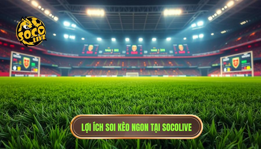 Tại sao nên theo dõi kèo ngon hôm nay từ Socolive?