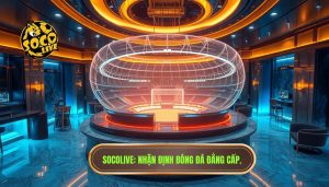 Nhận định trận đấu Socolive phát sóng: Chuyên sâu và Chính xác